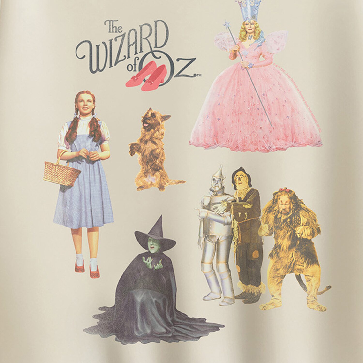Oz Group Womens Crew Neck Long Sleeve The Wizard of Pullover Sweater