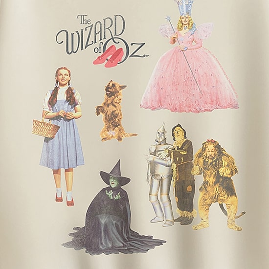 Oz Group Womens Crew Neck Long Sleeve The Wizard of Oz Pullover Sweater