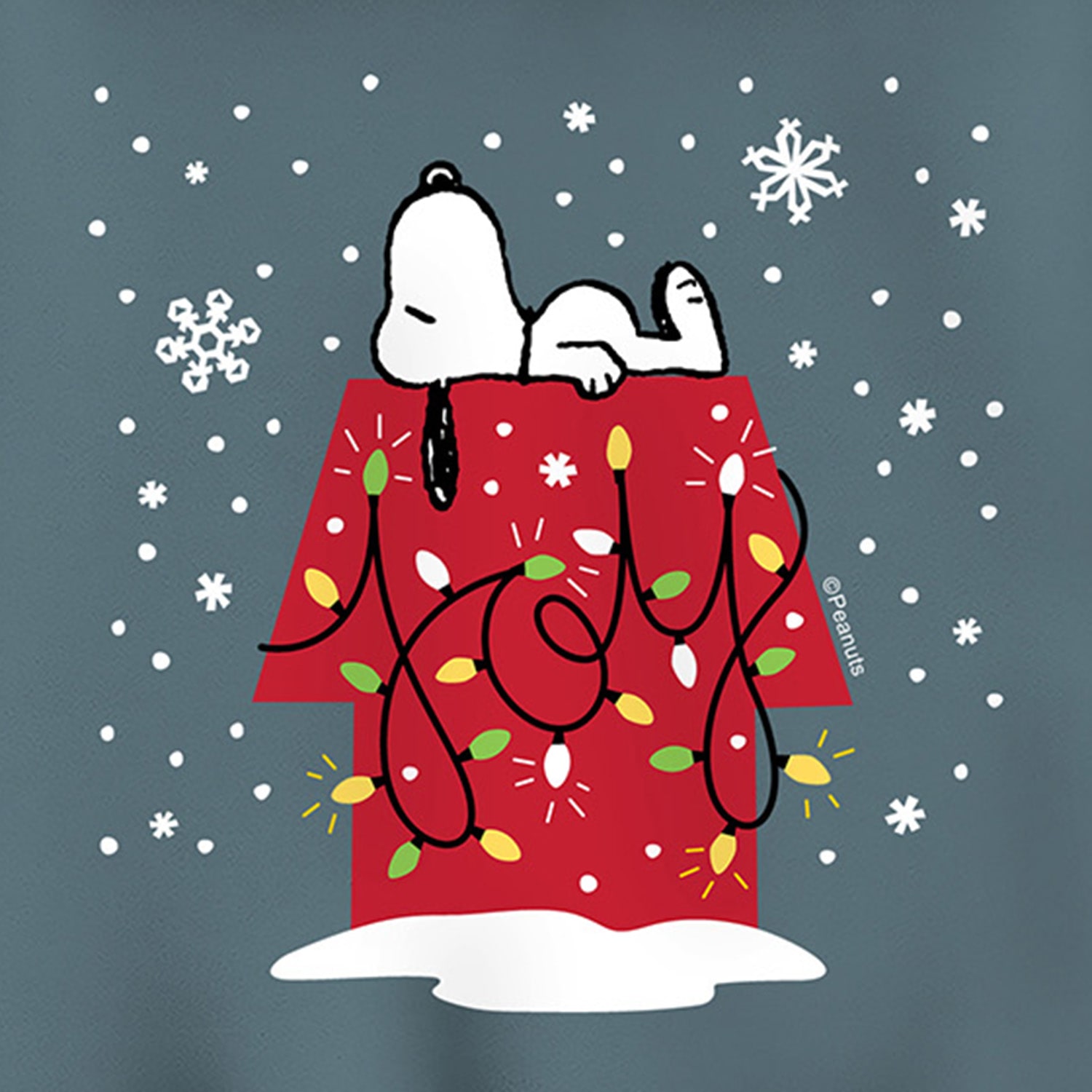 Joy Womens Long Sleeve Peanuts Snoopy Hoodie