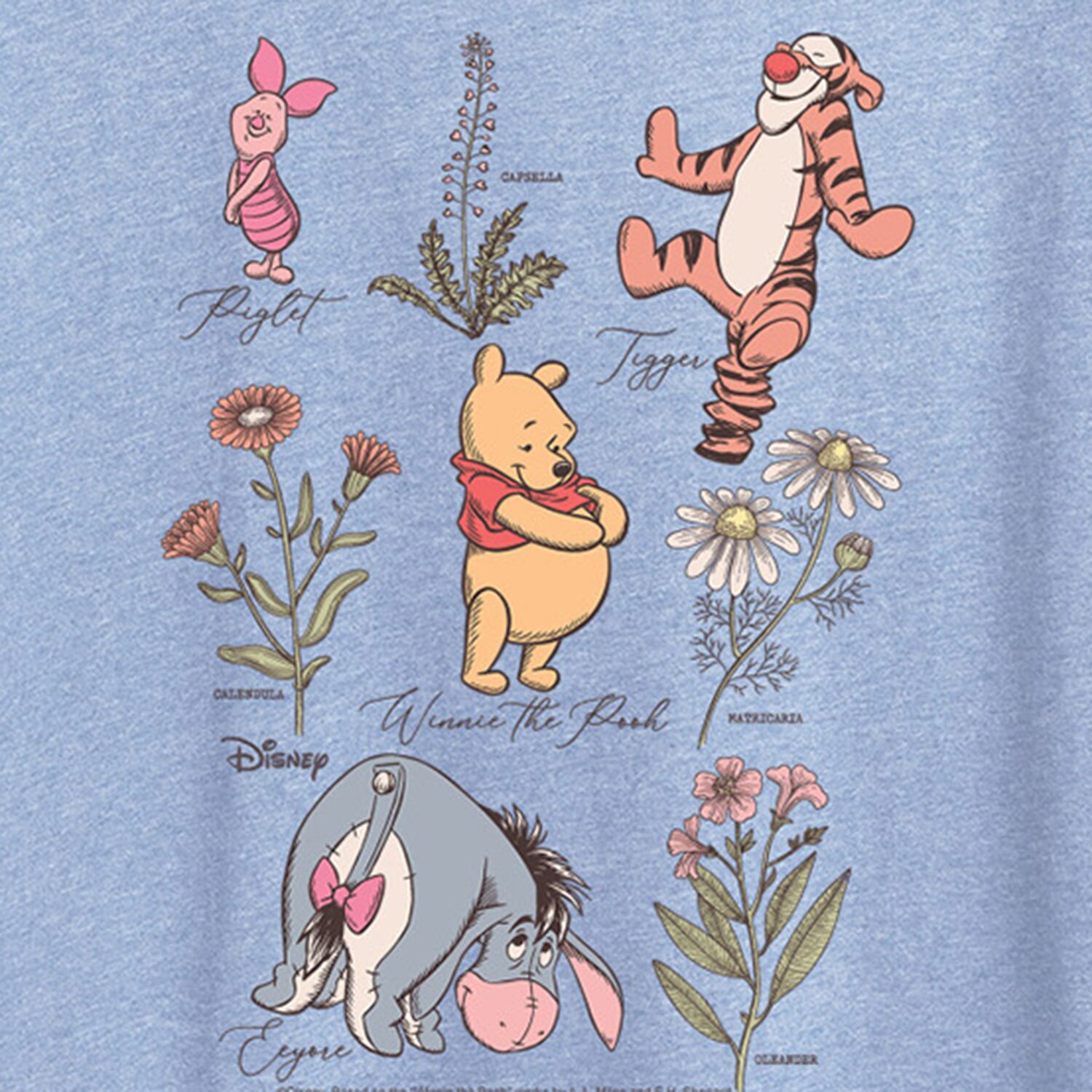 Friends Floral Womens Crew Neck Short Sleeve Regular Fit Winnie The Pooh Graphic T-Shirt