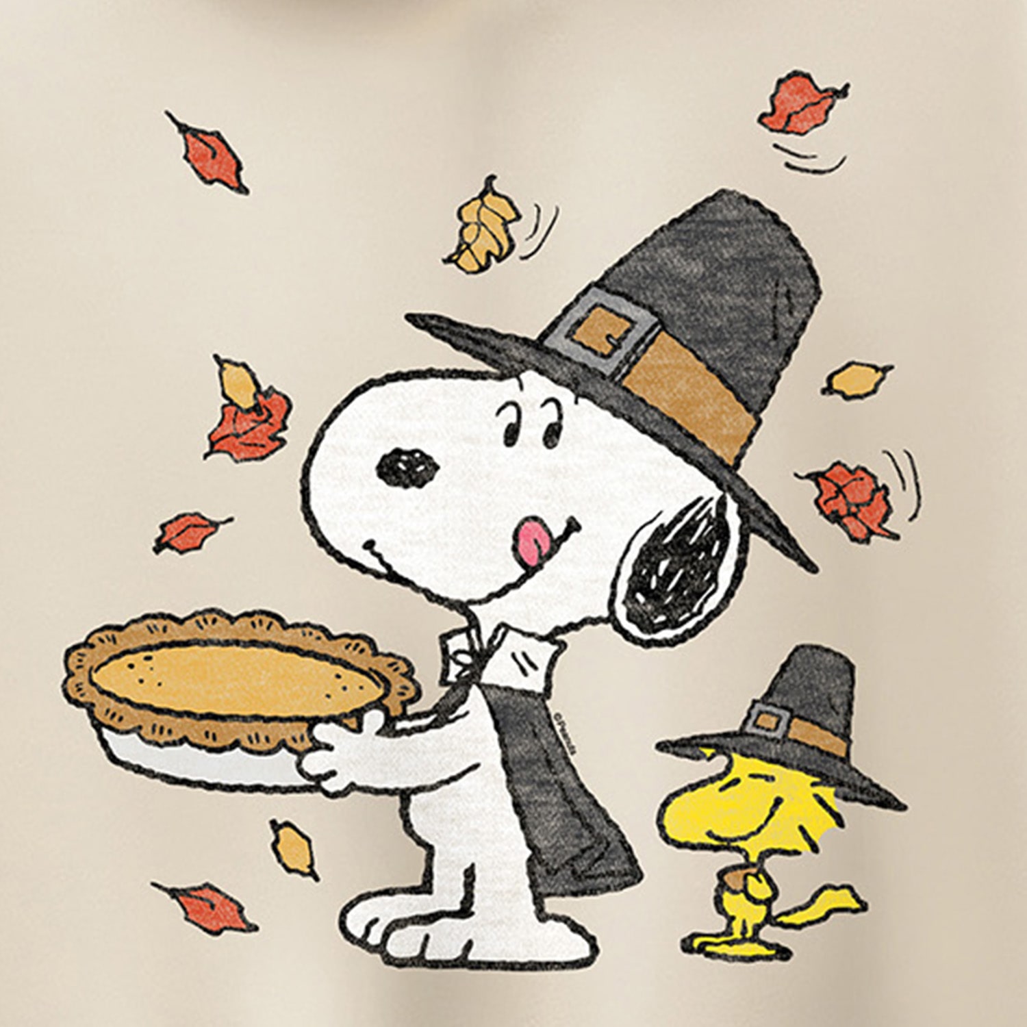Thanksgiving Scene Womens Long Sleeve Peanuts Snoopy Hoodie
