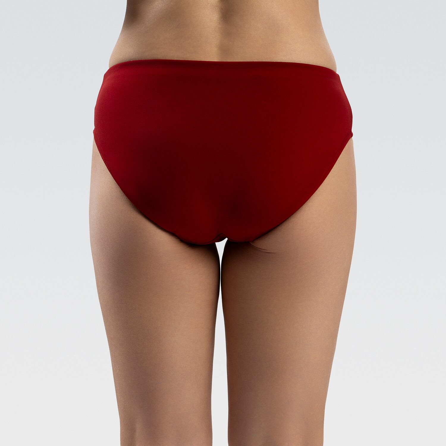 Dolfin Brief Bikini Swimsuit Bottom