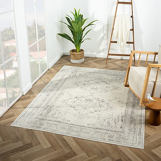 LR Home Axel Medallion Indoor Rectangular Area Rug