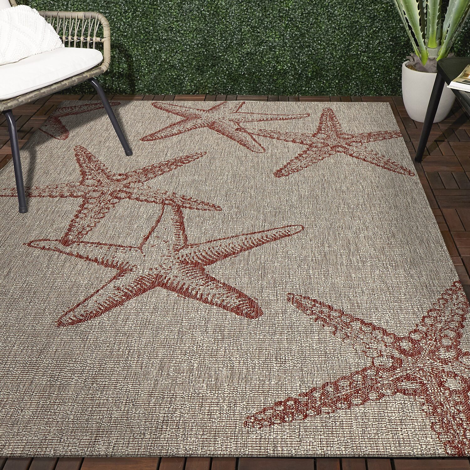 Celeste Starfish Indoor Outdoor Rectangular Area Rug