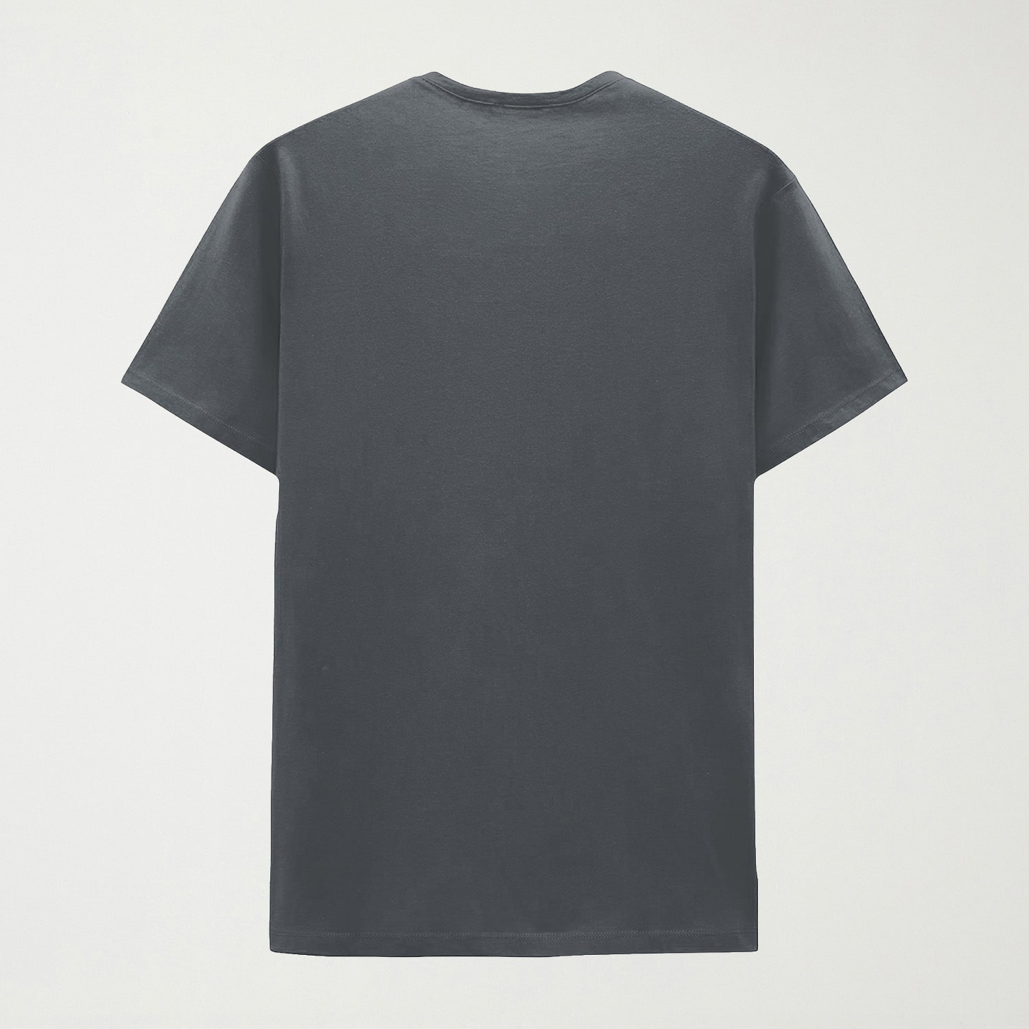 Mens Round Neck Short Sleeve Regular Fit Big and Tall Graphic T-Shirt