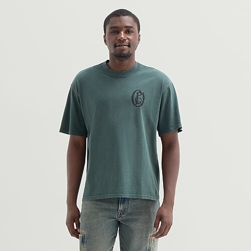 Arizona Mens Crew Neck Short Sleeve Boxy Fit Graphic T-shirt In Blue