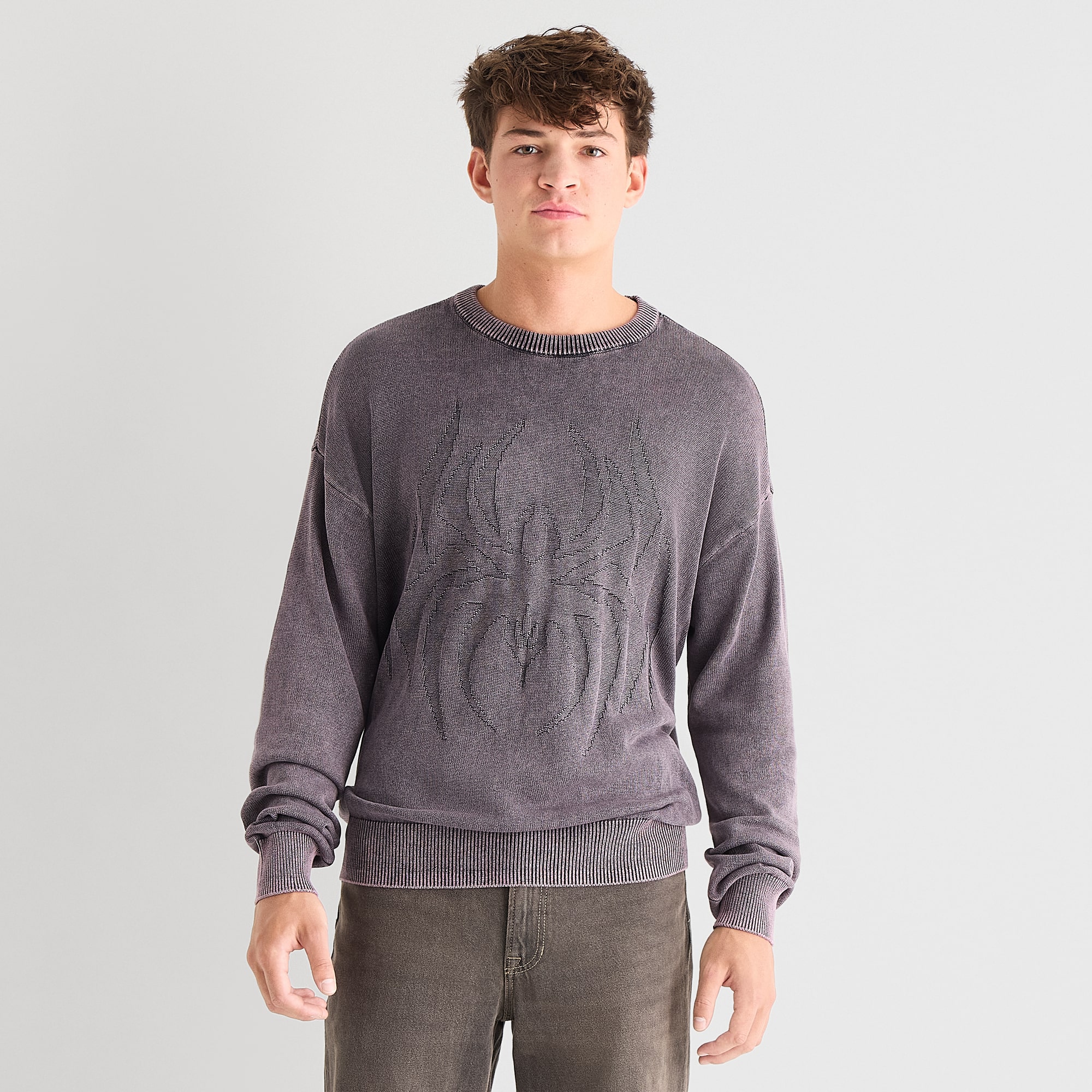 Arizona Mens Crew Neck Long Sleeve Pullover Sweater