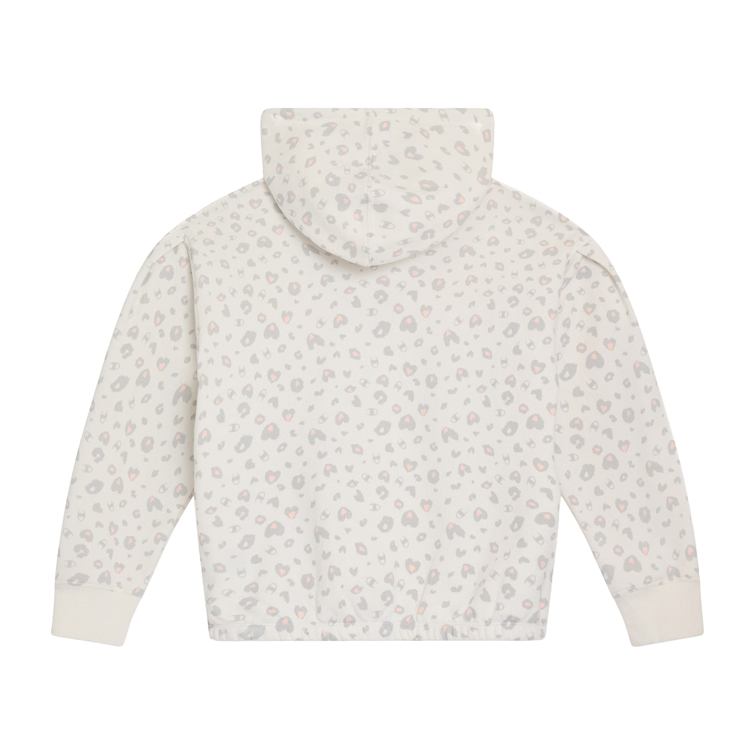 Champion Big Kid Girls Long Sleeve Fleece Active Hoodie