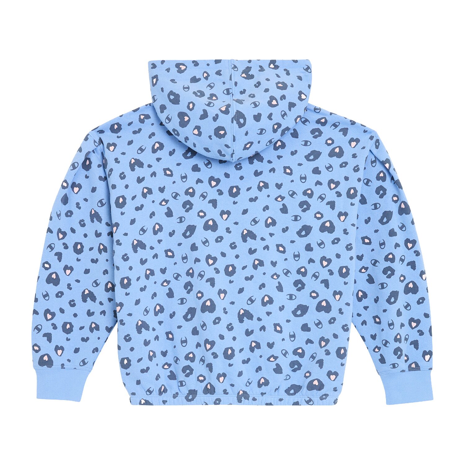 Champion Big Kid Girls Long Sleeve Active Hoodie