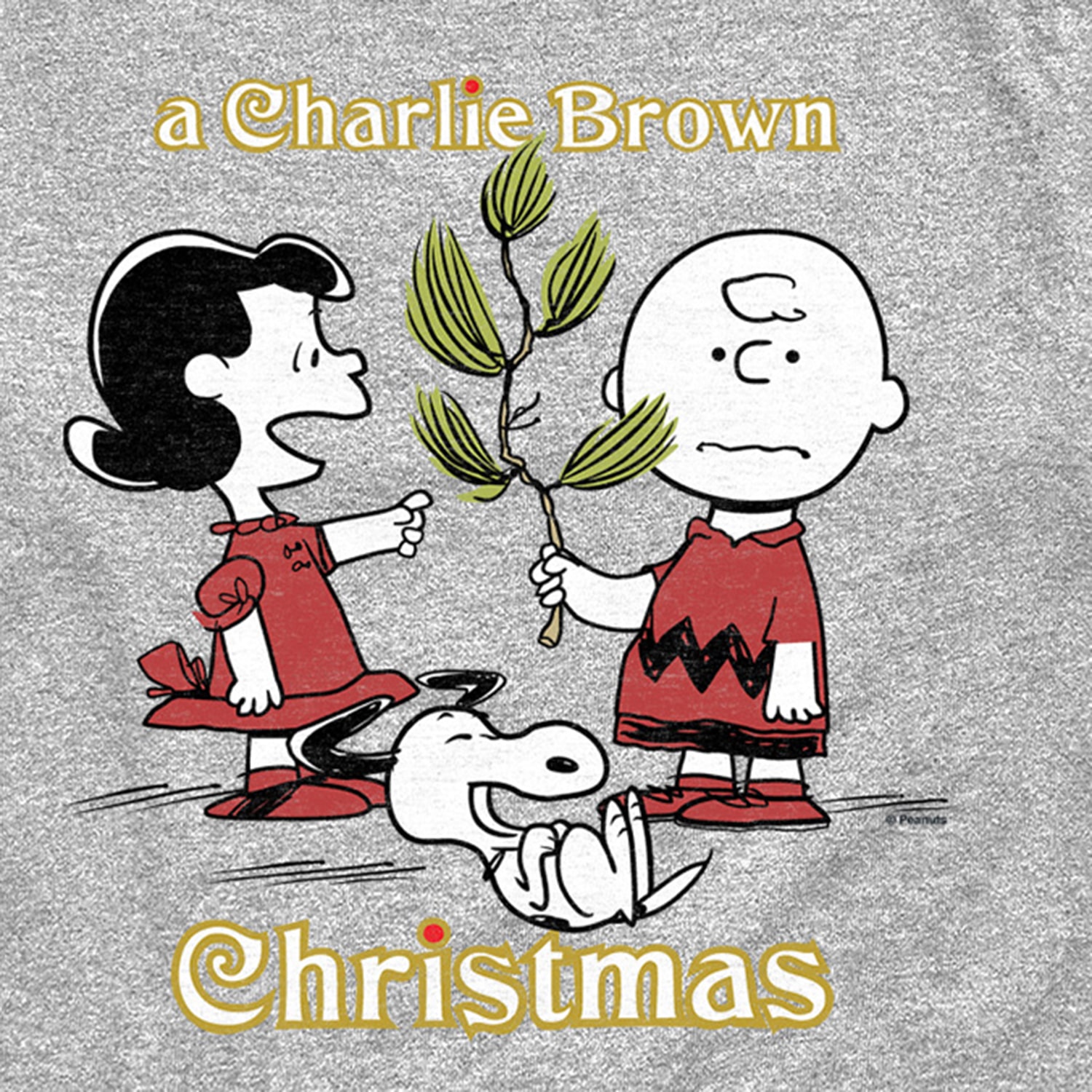Charlie Brown Christmas Tree Little & Big Kid Boys Crew Neck Short Sleeve Regular Fit Peanuts Graphic T-Shirt