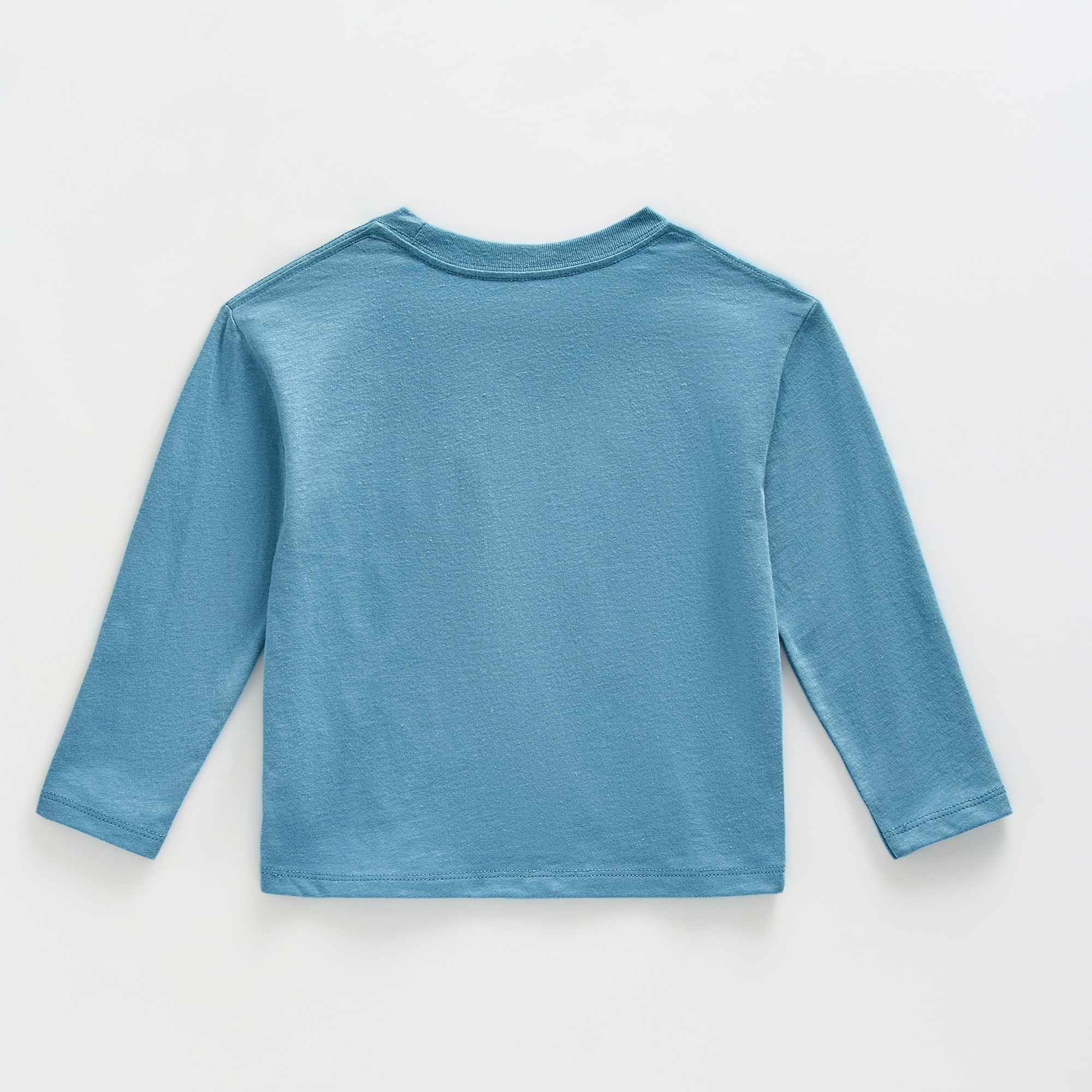 Toddler Boys Crew Neck Long Sleeve Regular Fit Bluey Graphic T-Shirt