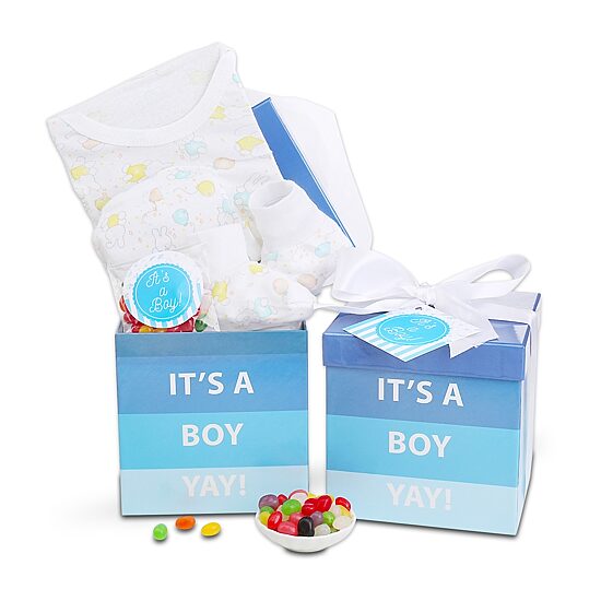 Alder Creek Its A Boy Baby Gift Box Food Set