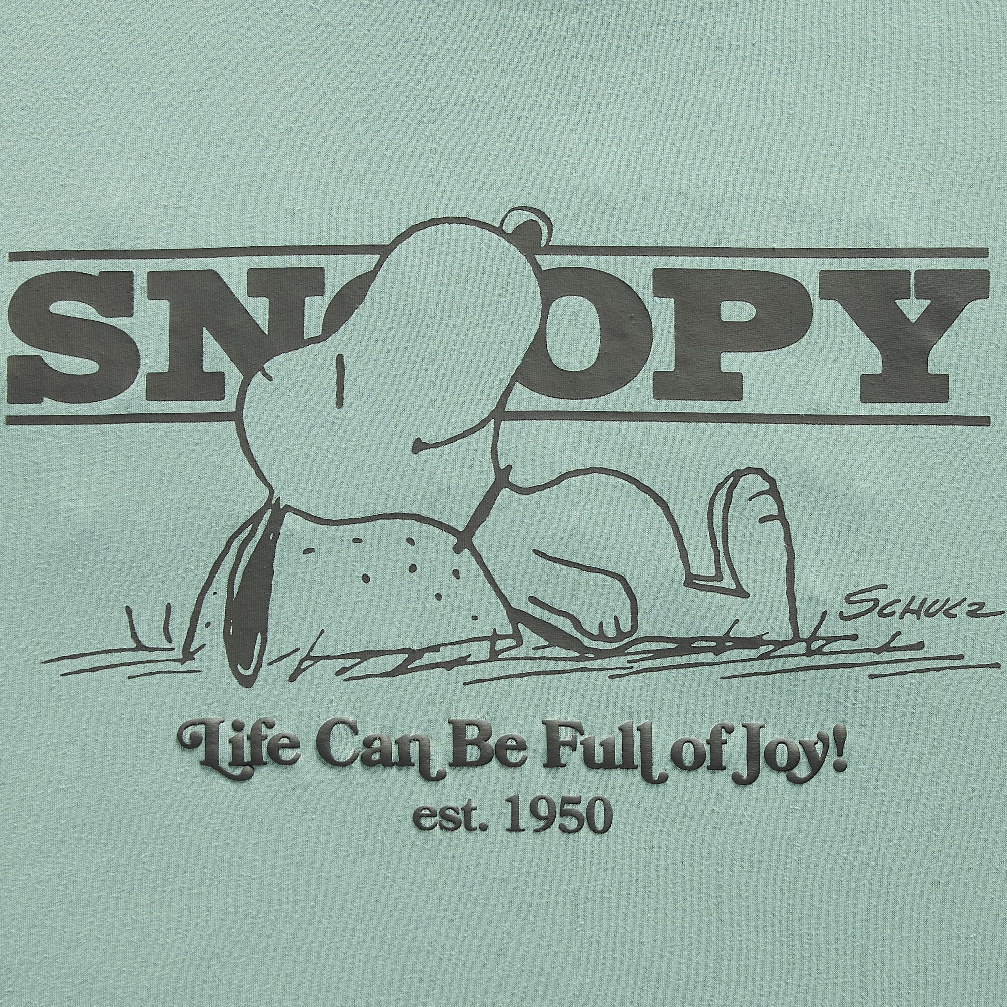 Womens Juniors Crew Neck Short Sleeve Oversized Peanuts Graphic T-Shirt
