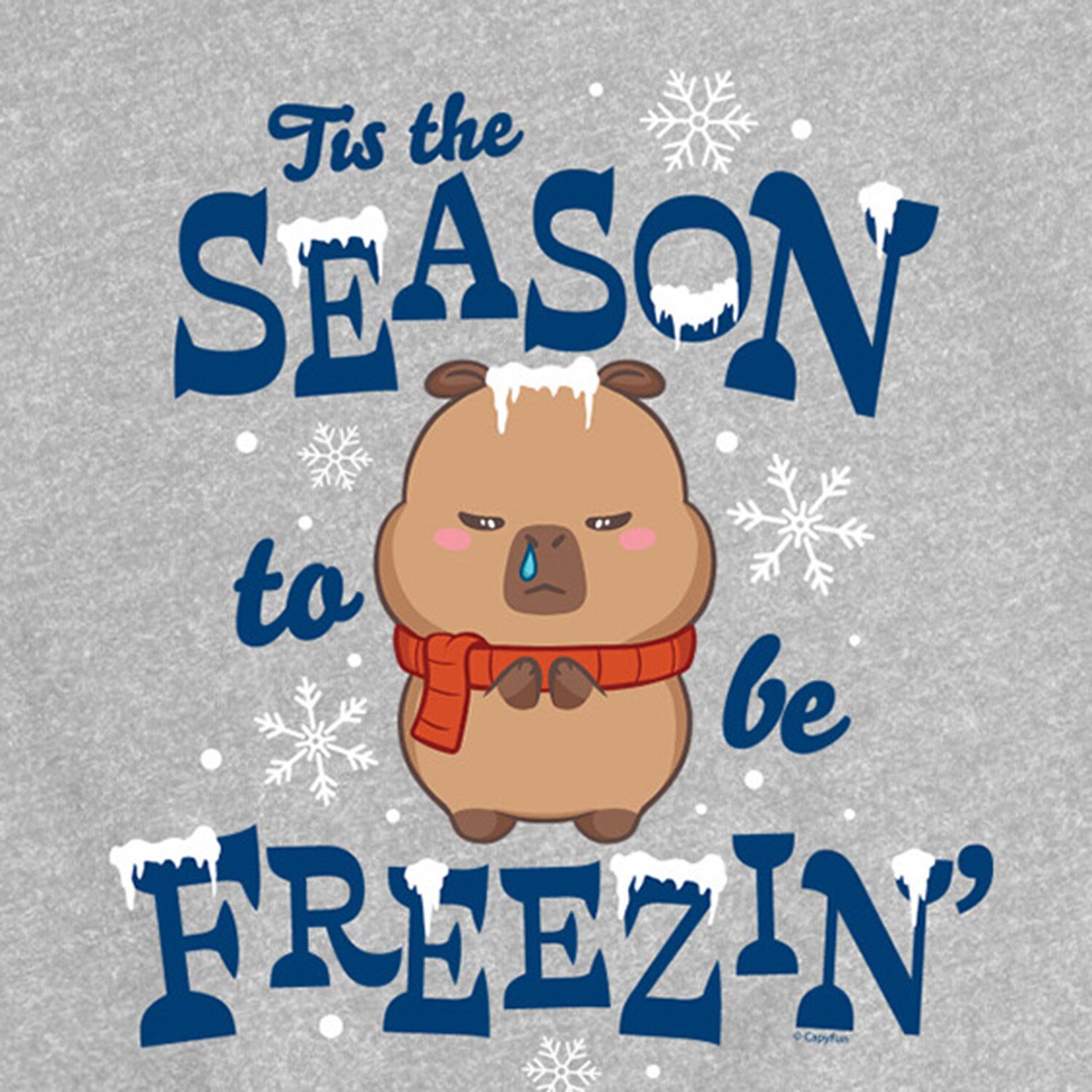 Capybara Tis The Season To Be Frezzin Big Kid Girls Crew Neck Short Sleeve Regular Fit Graphic T-Shirt