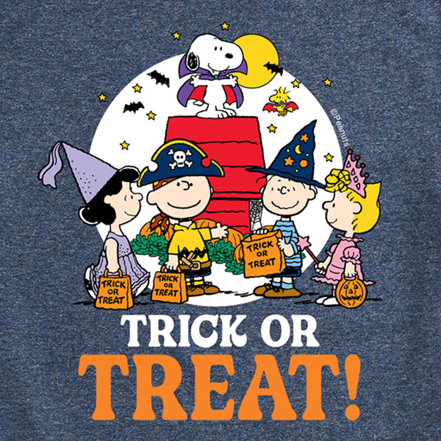 Trick Or Treat Moonlight Mens Crew Neck Short Sleeve Regular Fit Peanuts Snoopy Graphic T-Shirt