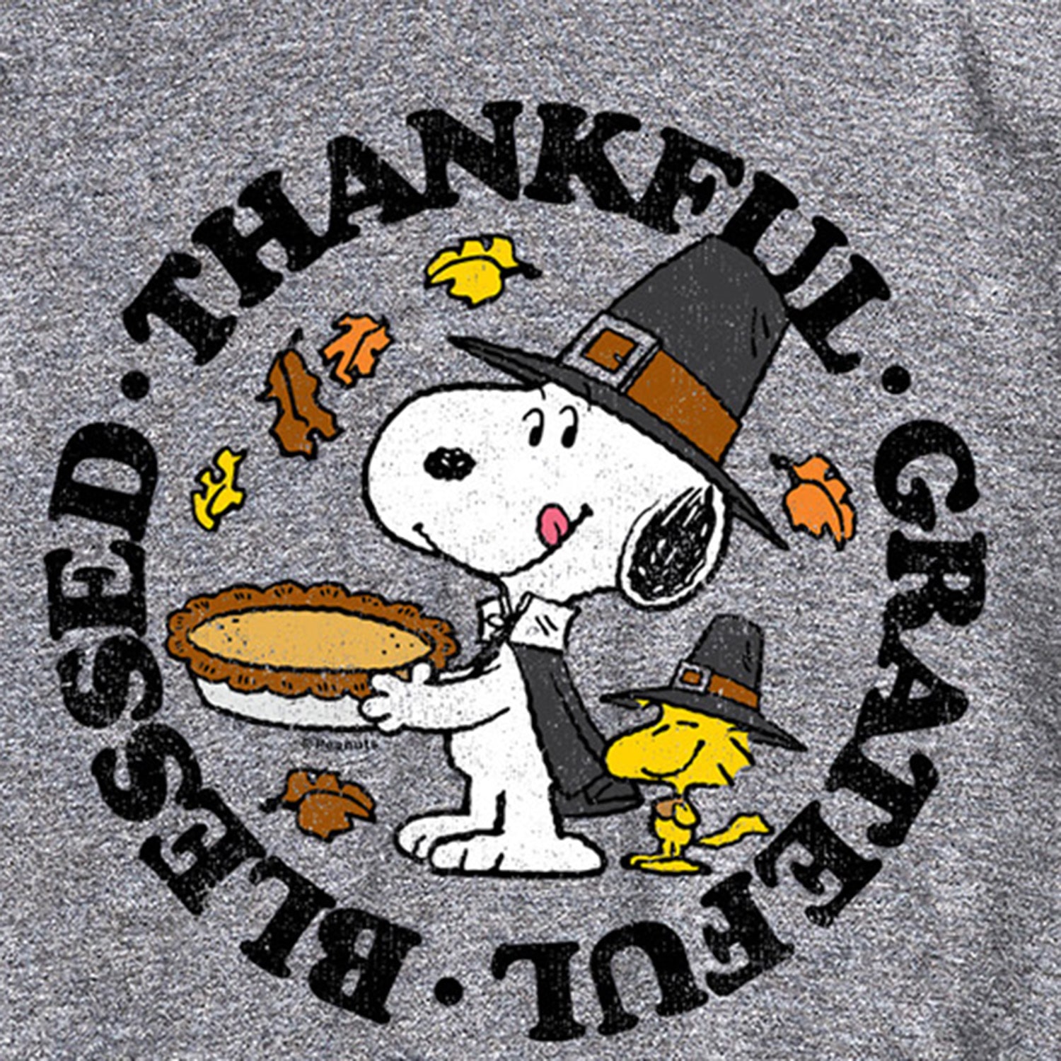 Thankful Grateful Blessed Distressed Mens Crew Neck Short Sleeve Regular Fit Peanuts Snoopy Graphic T-Shirt