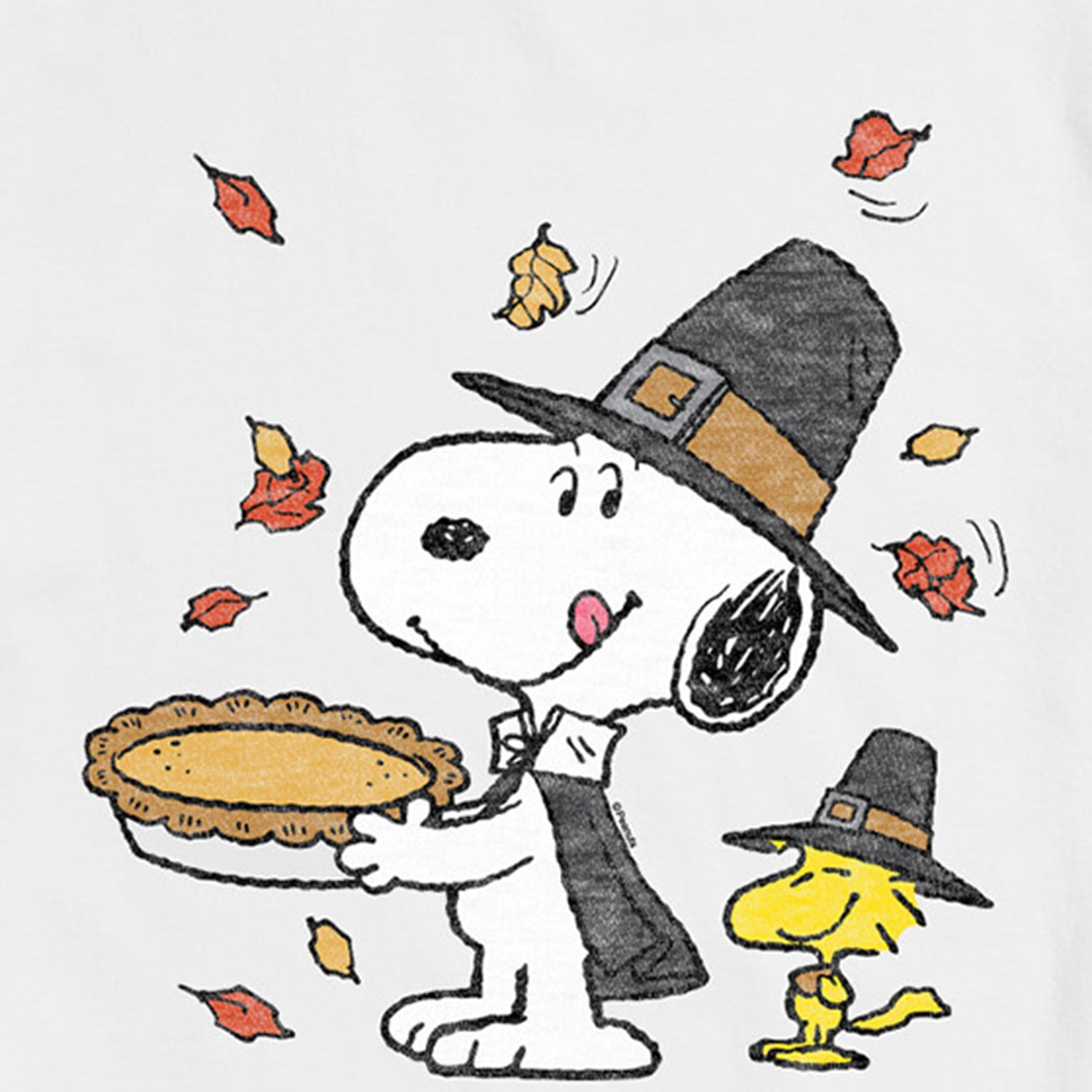 Thanksgiving Scene Mens Crew Neck Short Sleeve Regular Fit Peanuts Snoopy Graphic T-Shirt