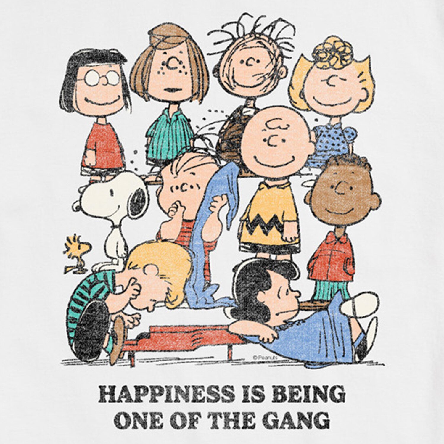 One Of The Gang Distressed Mens Crew Neck Short Sleeve Regular Fit Peanuts Graphic T-Shirt