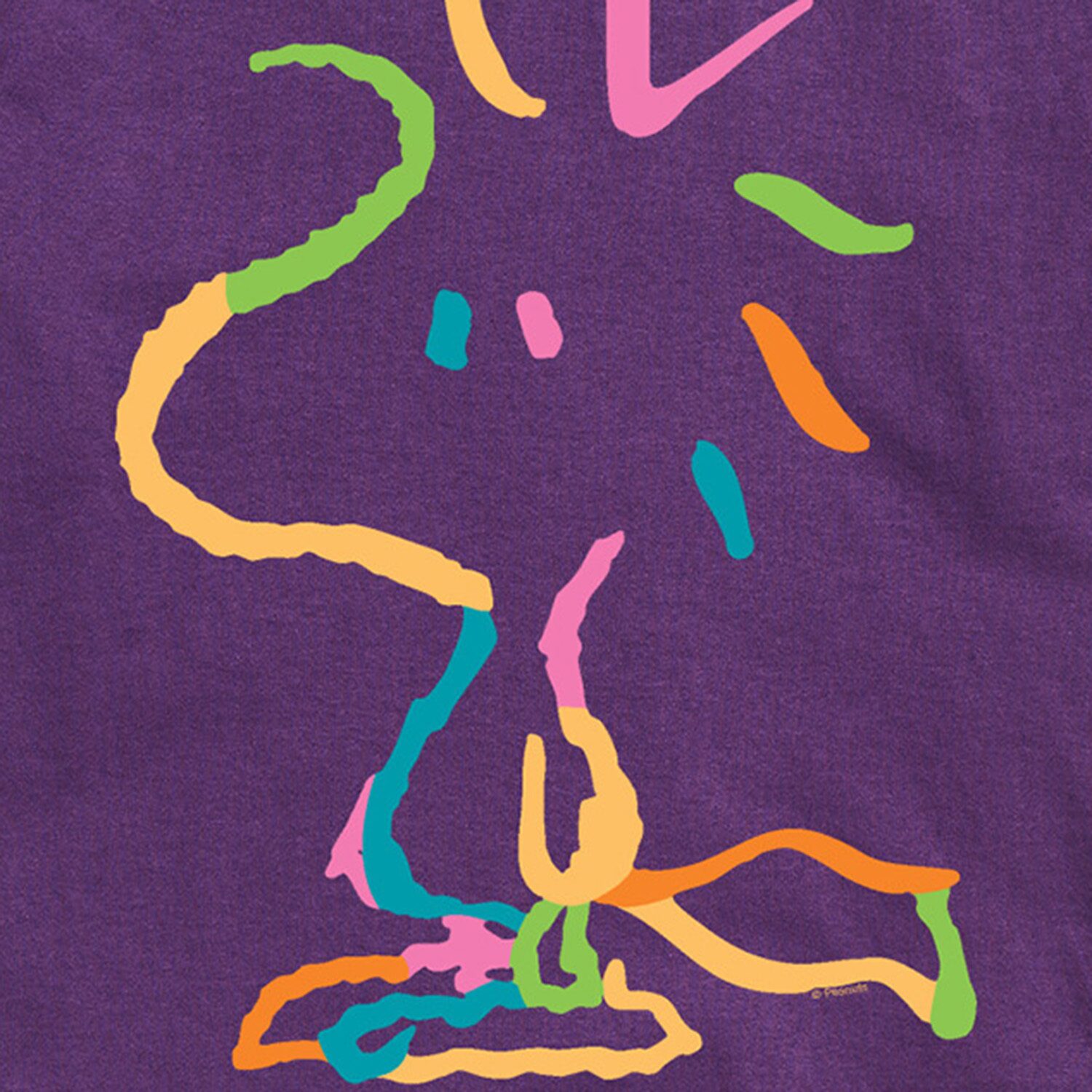 Rainbow Line Art Mens Crew Neck Short Sleeve Regular Fit Peanuts Graphic T-Shirt