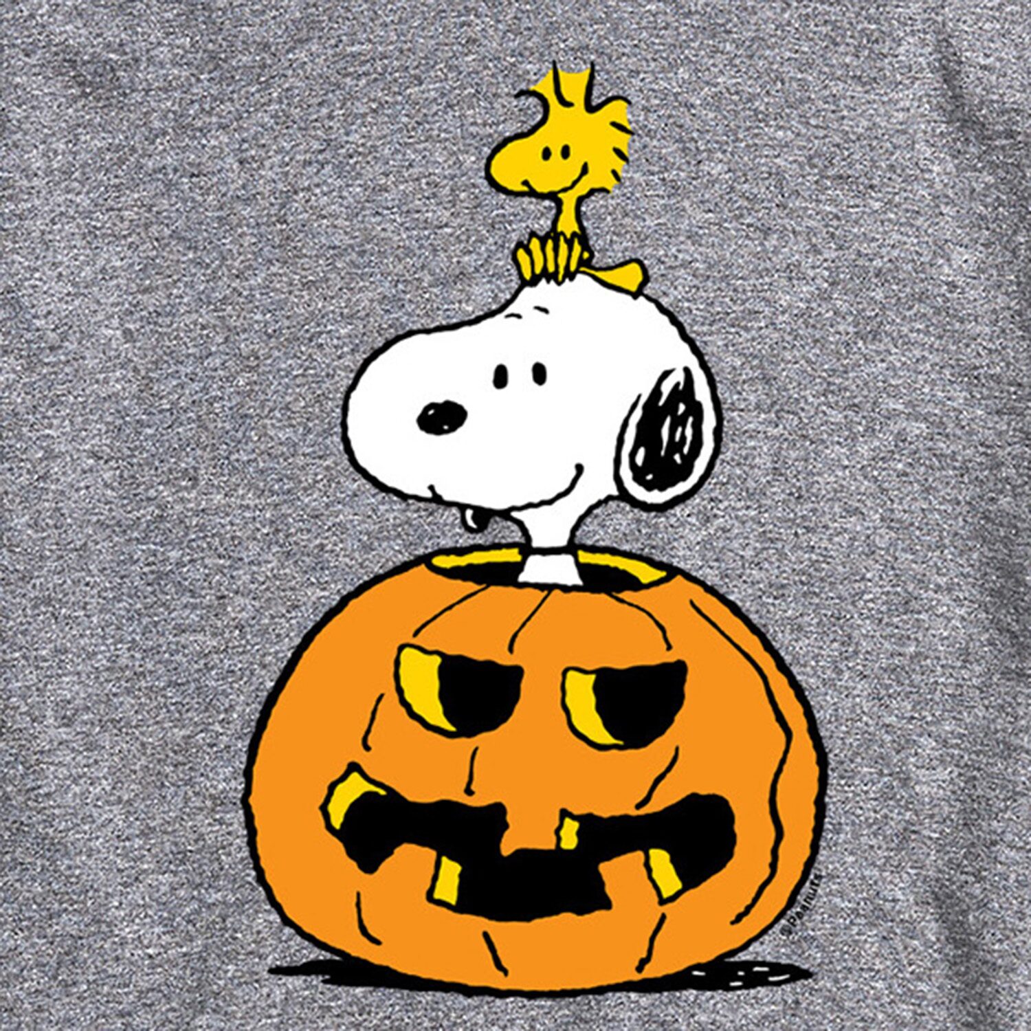 Pumpkin Jackolantern Mens Crew Neck Short Sleeve Regular Fit Peanuts Snoopy Graphic T-Shirt