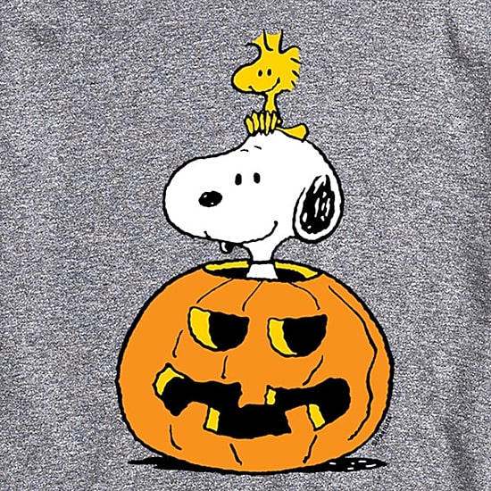 Pumpkin Jackolantern Mens Crew Neck Short Sleeve Regular Fit Peanuts Snoopy Graphic T-Shirt