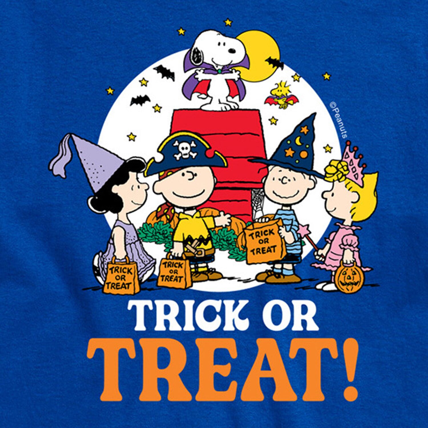 Trick Or Treat Moonlight Mens Crew Neck Short Sleeve Regular Fit Peanuts Snoopy Big and Tall Graphic T-Shirt
