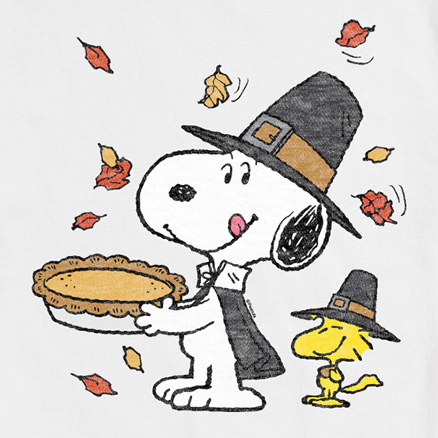 Thanksgiving Pie Mens Crew Neck Short Sleeve Regular Fit Peanuts Snoopy Big and Tall Graphic T-Shirt