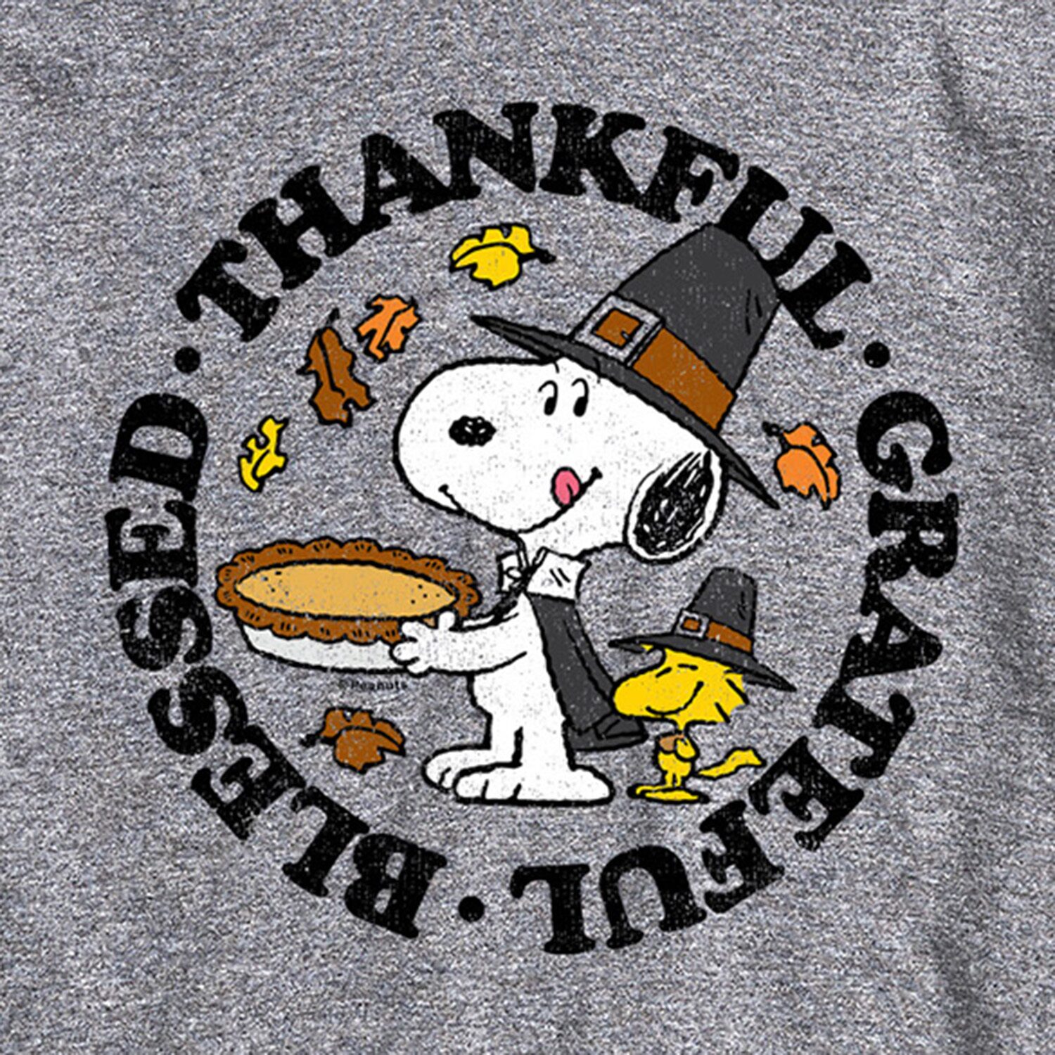 Thankful Grateful Blessed Distressed Mens Crew Neck Short Sleeve Regular Fit Peanuts Snoopy Big and Tall Graphic T-Shirt