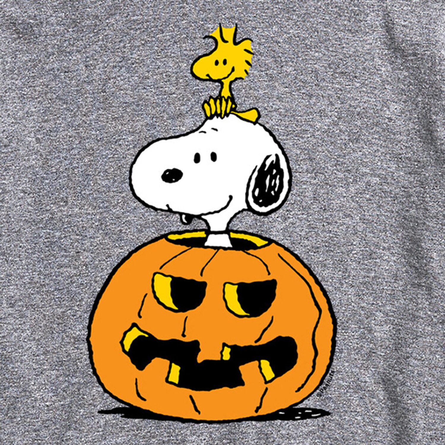 Pumpkin Mens Crew Neck Short Sleeve Regular Fit Peanuts Snoopy Big and Tall Graphic T-Shirt