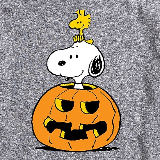 Pumpkin Mens Crew Neck Short Sleeve Regular Fit Peanuts Snoopy Big and Tall Graphic T-Shirt
