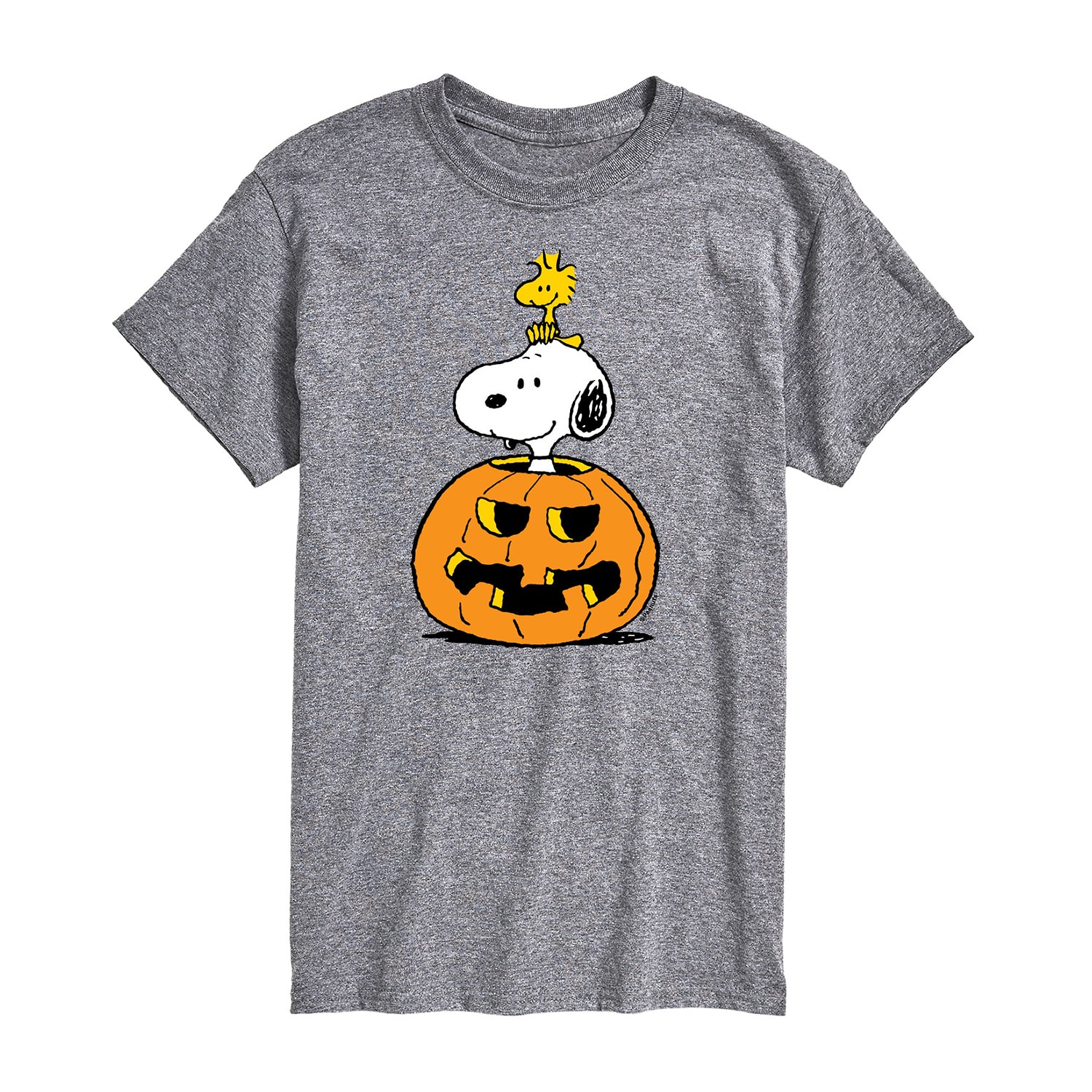 Pumpkin Mens Crew Neck Short Sleeve Regular Fit Peanuts Snoopy Big and Tall Graphic T-Shirt