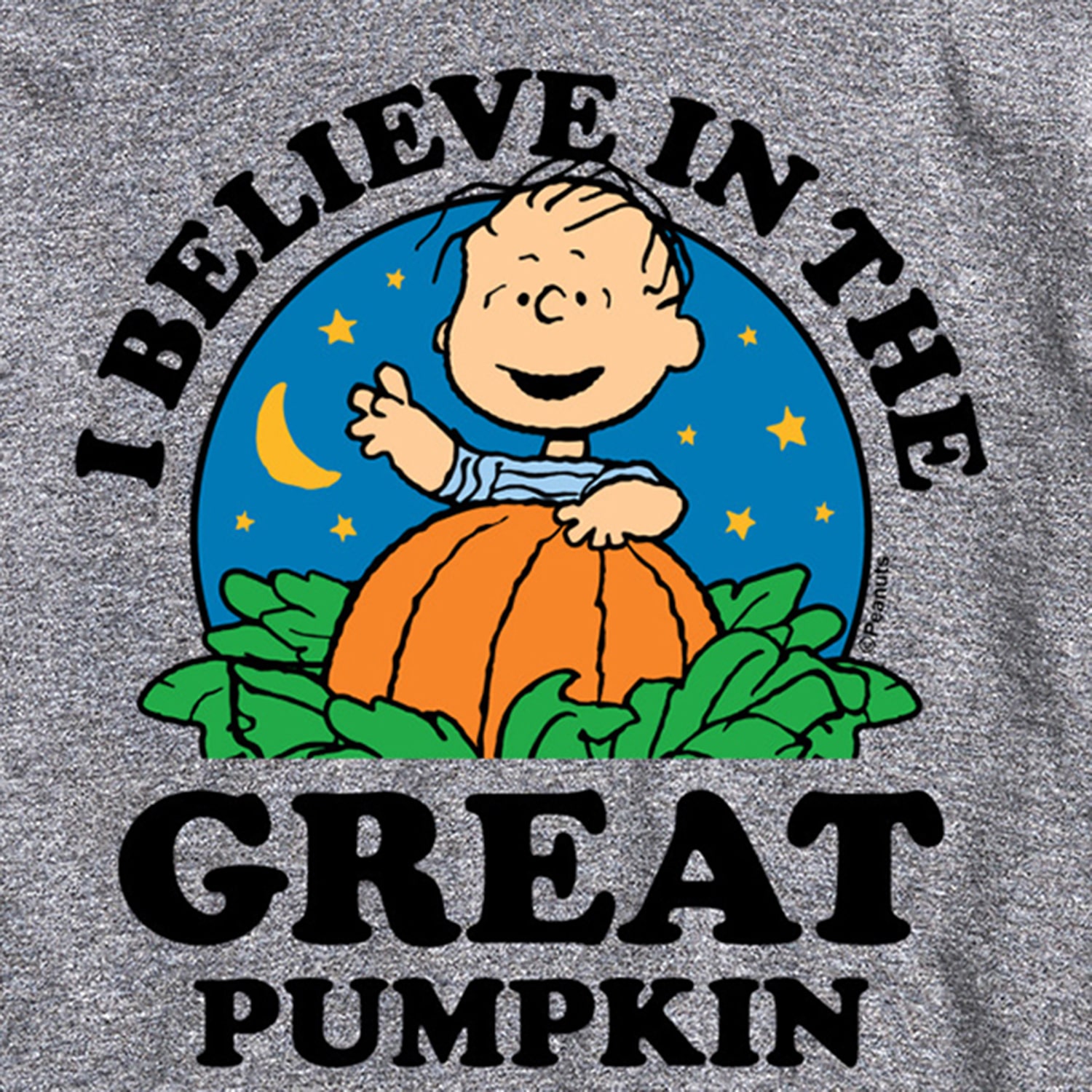 I Believe The Great Pumpkin Mens Crew Neck Short Sleeve Regular Fit Peanuts Big and Tall Graphic T-Shirt