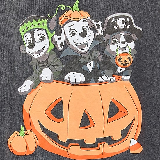 Grayson Little Toddler Boys Crew Neck Short Sleeve Relaxed Fit Paw Patrol Graphic T-Shirt