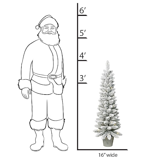Traditional 4 Foot Potted Pine Christmas Tree