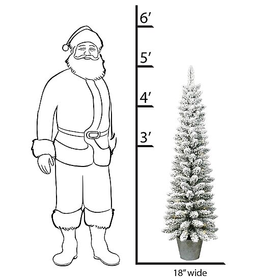 Traditional 5 Foot Potted Pine Christmas Tree