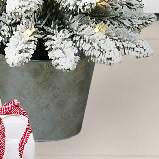 Traditional 5 Foot Potted Pine Christmas Tree