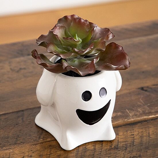 Nearly Natural 2-pc. 5" Happy Ghost Artificial Plant