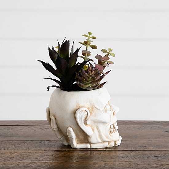Nearly Natural 8" Zombie Artificial Plant