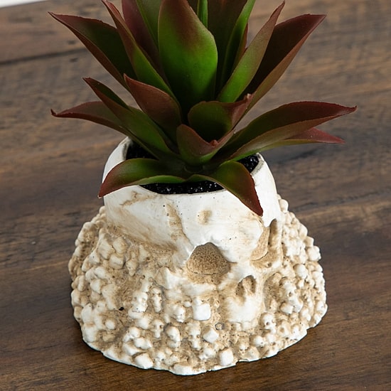 Nearly Natural 2-pc. 5" Haunted Artificial Plant