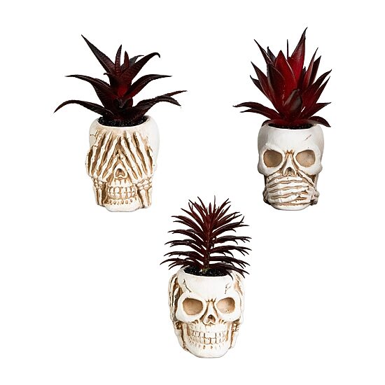 Nearly Natural 3-pc. 6" Speak Hear See No Evil Skull Artificial Plant