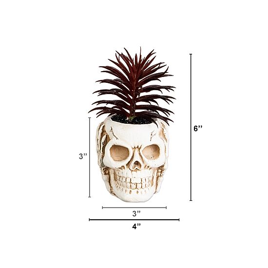 Nearly Natural 3-pc. 6" Speak Hear See No Evil Skull Artificial Plant