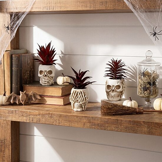 Nearly Natural 3-pc. 6" Speak Hear See No Evil Skull Artificial Plant