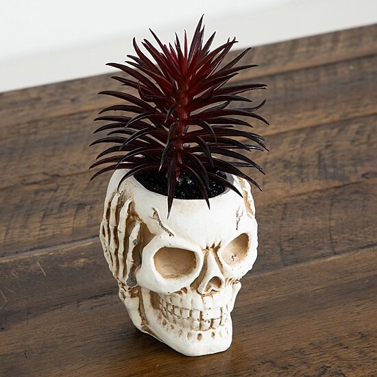 Nearly Natural 3-pc. 6" Speak Hear See No Evil Skull Artificial Plant