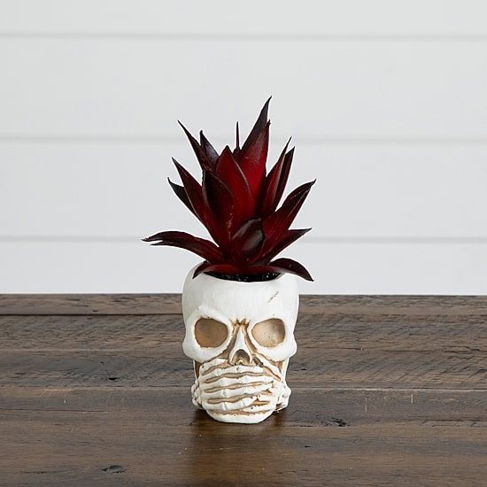 Nearly Natural 3-pc. 6" Speak Hear See No Evil Skull Artificial Plant