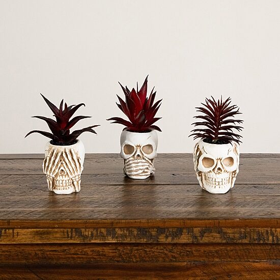 Nearly Natural 3-pc. 6" Speak Hear See No Evil Skull Artificial Plant