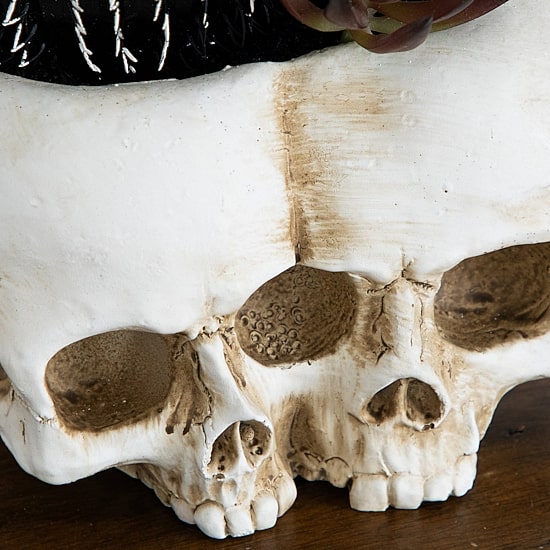 Nearly Natural 8" Double Skull Artificial Plant