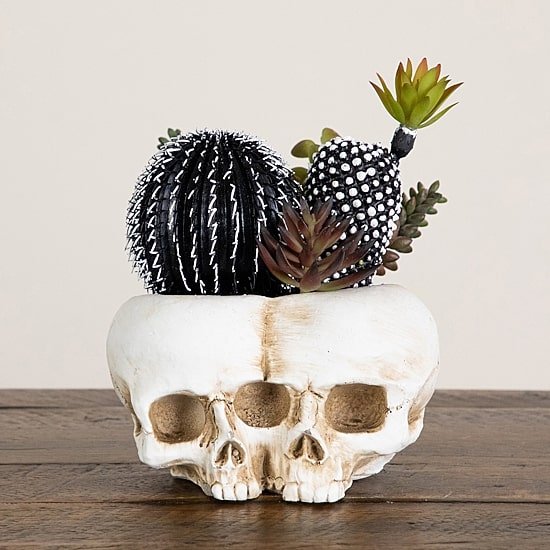 Nearly Natural 8" Double Skull Artificial Plant