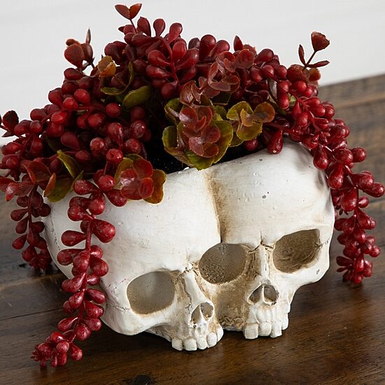 Nearly Natural 6" String Pearls Double Skull Artificial Plant