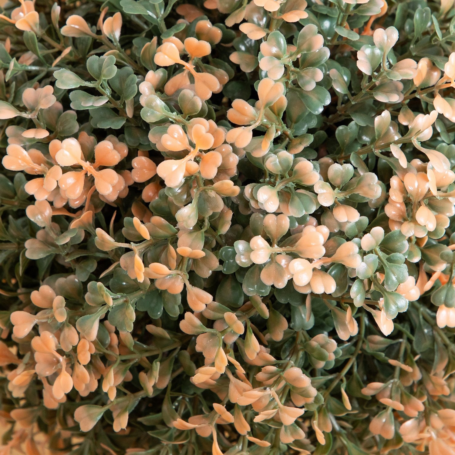 Nearly Natural 2ft Double Boxwood Thanksgiving Topiary
