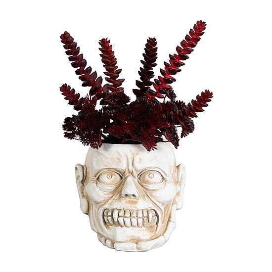 Nearly Natural 10" Zombie Artificial Plant